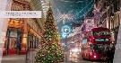 细数7个英国圣诞传统习俗！鼓励吃圣诞树？