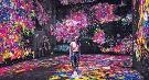 澳门通关后新游 威尼斯人teamLab光影展＋户外贡多拉