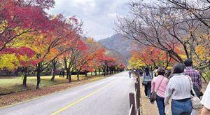 韩国必访赏枫胜地 秋游内藏山国立公园 自由行打卡路线