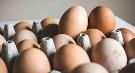 鸡蛋有助预防认知障碍、抑制致癌物！每日最多吃几个？