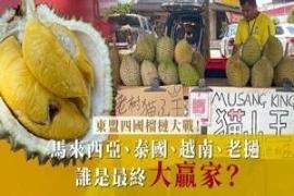 中国开放鲜食榴莲进口范围，东盟四国谁是最终大赢家？