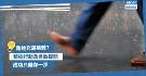 励志故事分享：积极行动、勇敢提问，成功只离你一步
