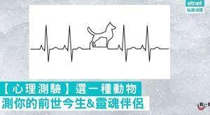 【心理测验】选一种动物 测你的前世今生&灵魂伴侣