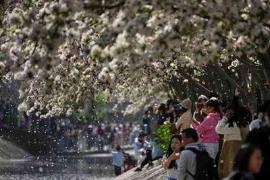 4月经济顶住压力，消费、地产响警号