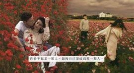 背妻寻找性服务？买的不只是性，而是短暂的伤害式疗愈